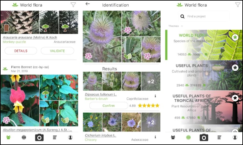 7 Best Plant Identifier Apps For Android in 2022