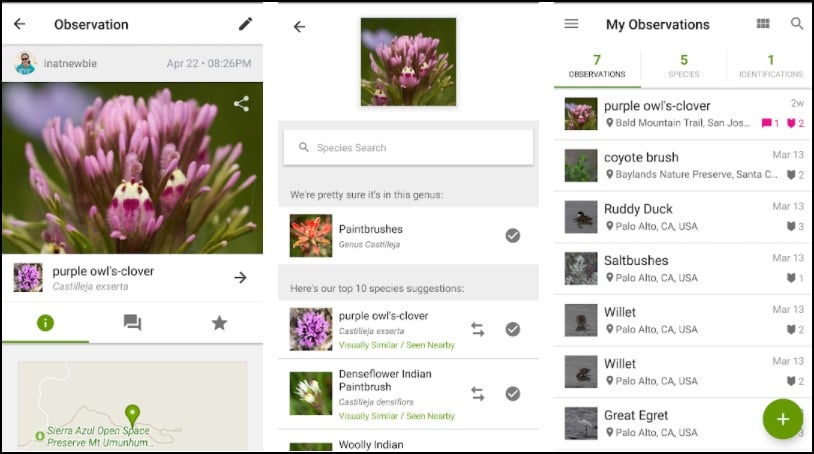 7 Best Plant Identifier Apps For Android in 2022