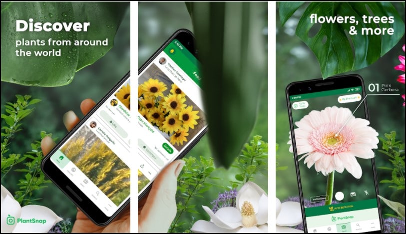 7 Best Plant Identifier Apps For Android in 2022