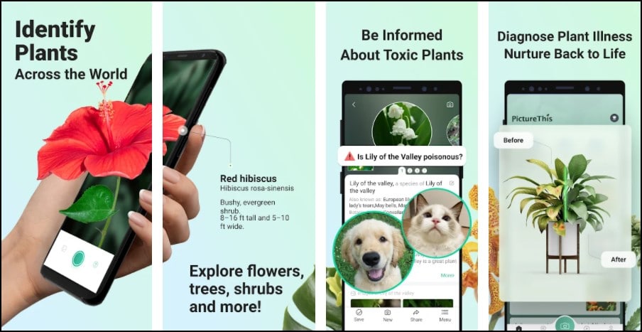 7 Best Plant Identifier Apps For Android in 2022