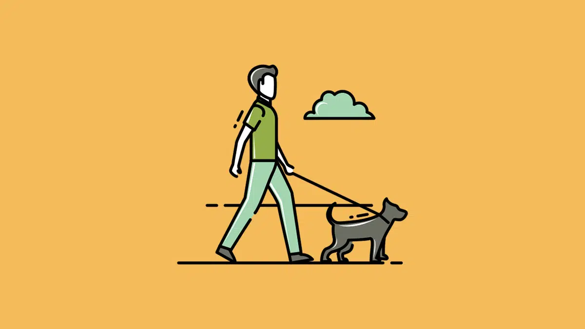 Which Dog Walking App Is Best