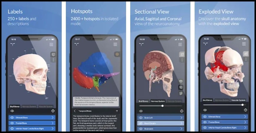 6 Best Anatomy Apps For Android in 2022