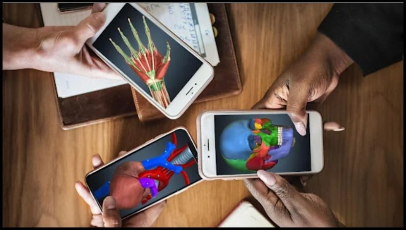 6 Best Anatomy Apps For Android in 2022