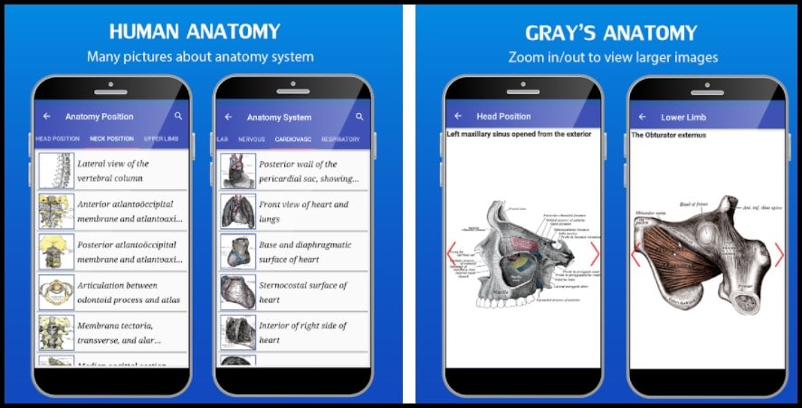 6 Best Anatomy Apps For Android in 2022