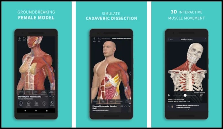 6 Best Anatomy Apps For Android in 2022