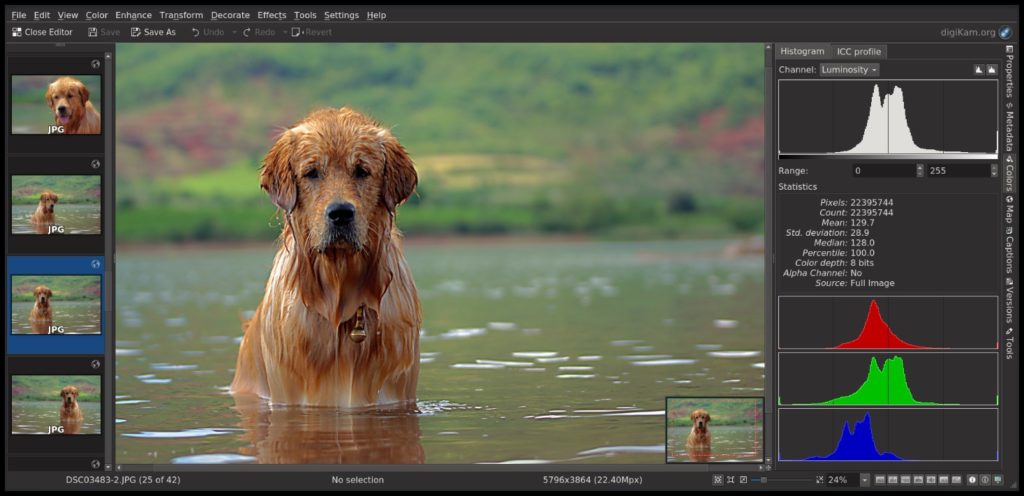 Best Photo Editor for Linux 2022