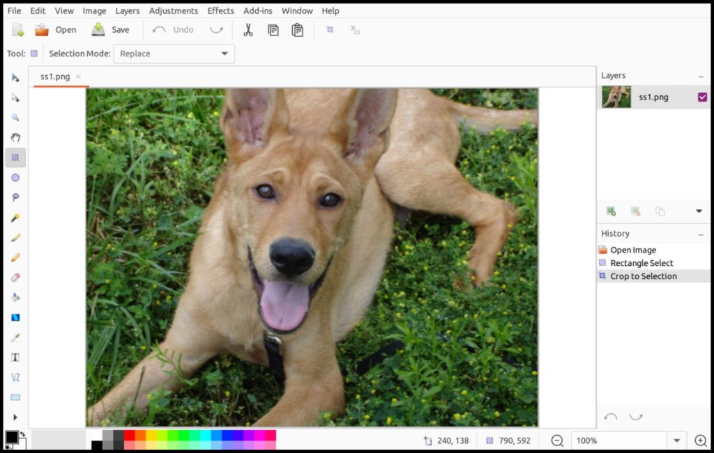 8 Best Photo Editor for Linux in 2022 (For PRO Editing)